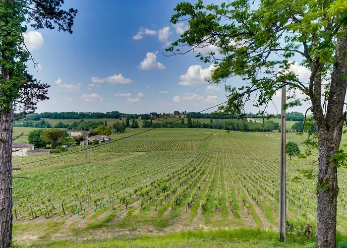 Prázdninový dům La Reserve Du Chateau De Roques *