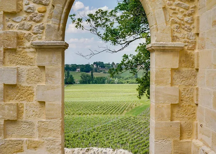 La Reserve Du Chateau De Roques
